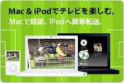 top_wcup060609.jpg